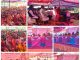 सुदूर वनांचल ग्राम जिल्गा में भव्य राम मंदिर एवं शिव मंदिर निर्माण तथा 21 फीट ऊँची गणपति एवं हनुमान जी की मूर्तियों की स्थापना हेतु भूमि पूजन सम्पन्न