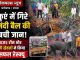 कुएं में गिरे नंदी बैल की बची जान! RCRS टीम और गौ सेवकों ने चलाया सफल रेस्क्यू अभियान
